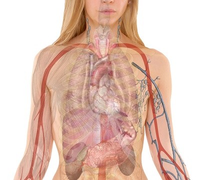 Čišćenje masne jetre