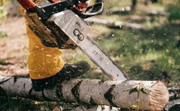 Benzinska motorna pila