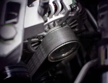 remenica alternatora