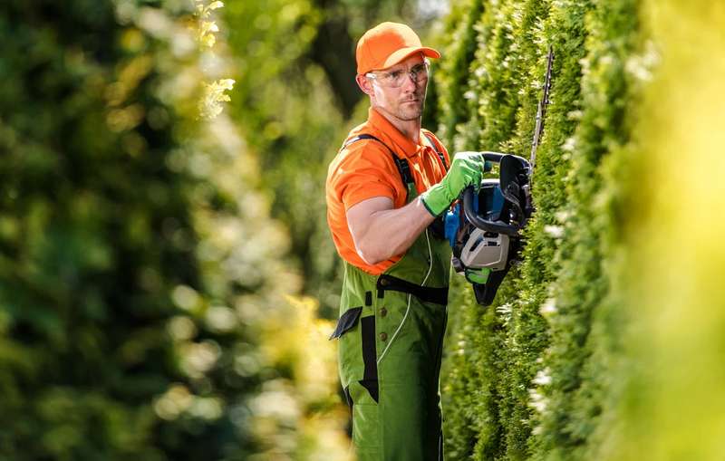 škare za živicu omogućuju precizno oblikovanje i održavanje grana. 