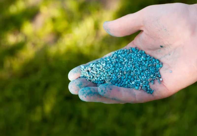 mineralna gnojiva za travu za lijep travnjak